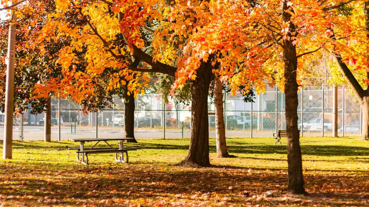 Loans King City, Toronto